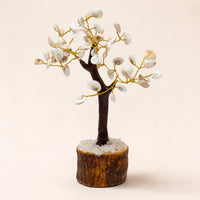 Gomati Chakra Circle Tree, Large, 60 Stones