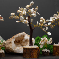 Gomati Chakra Circle Tree, Large, 60 Stones — view 5 of 5