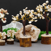 Gomati Chakra Circle Tree, Medium, 45 Stones — view 3 of 4