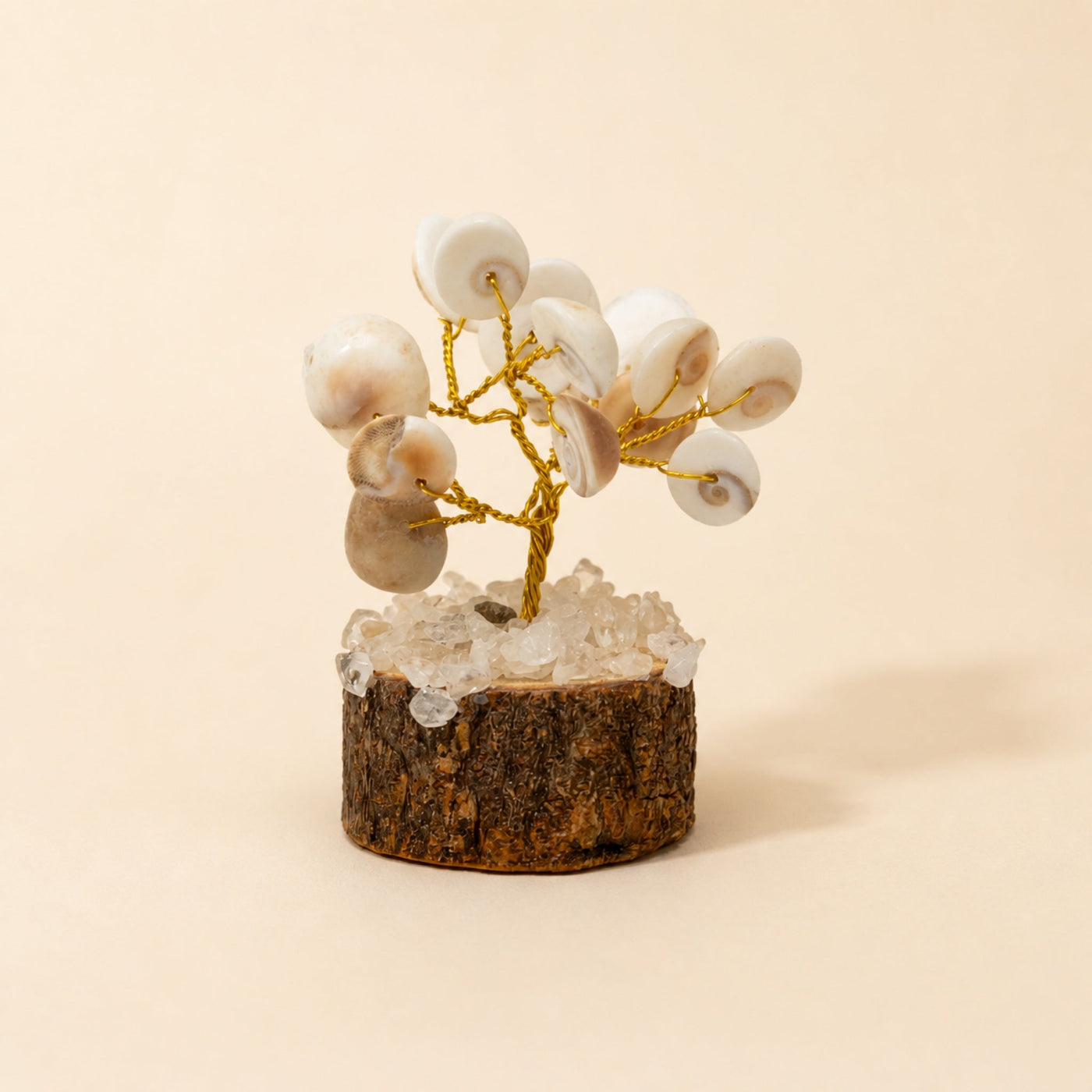 Small Gomati Chakra Circle Tree with Rudraksha