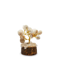 Small Gomati Chakra Circle Tree with Rudraksha — view 2 of 5