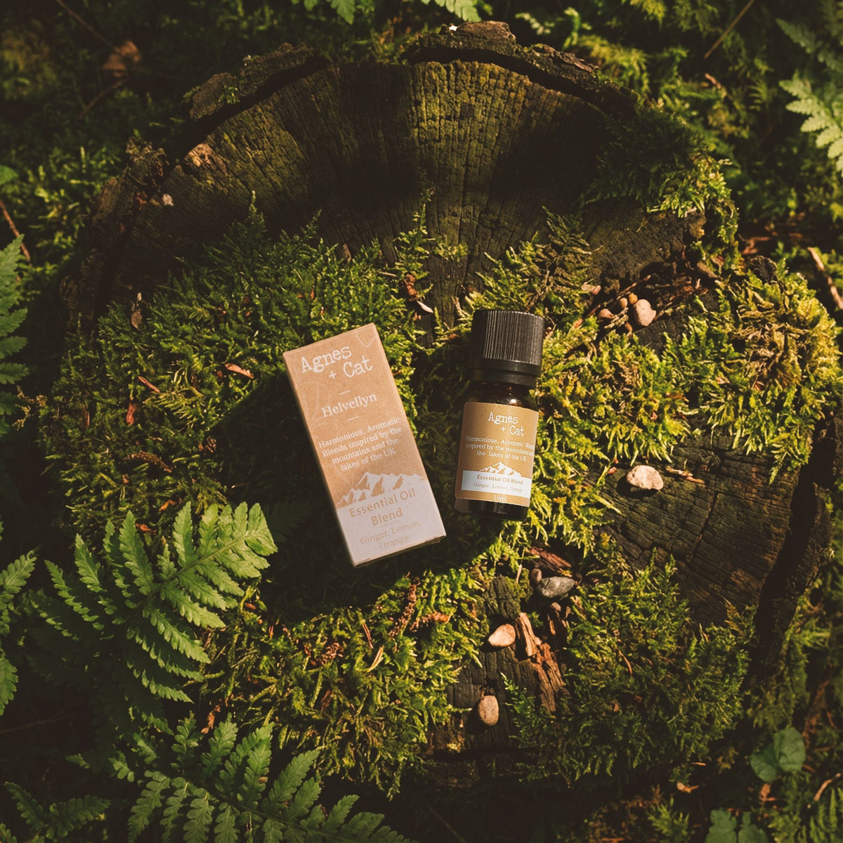 Skiddaw Essential Oil Blend, boxed — view 5 of 5