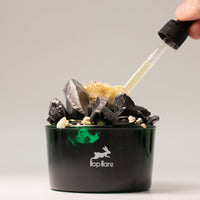 Diffusing Crystals & Flowers, The King, Black Obsidian — view 4 of 9