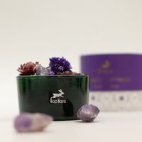 Diffusing Crystals & Flowers, The Moon, Amethyst — view 3 of 9
