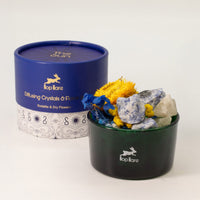 Diffusing Crystals & Flowers, The Sun, Sodalite — view 7 of 9